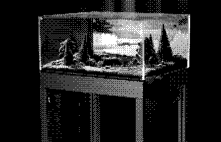 Ursula automaton, view 1